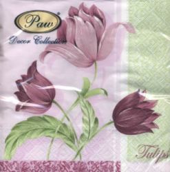 Romantic tulips rose